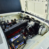 Opala (79)