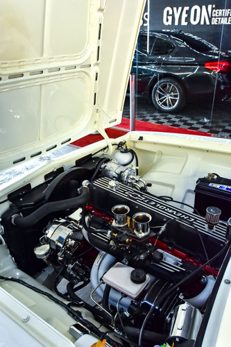 Opala (82).jpg