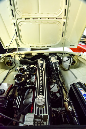 Opala (86).jpg