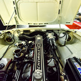 Opala (86)