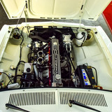 Opala (88)