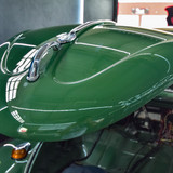 Fusca (41)