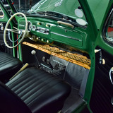 Fusca (33)
