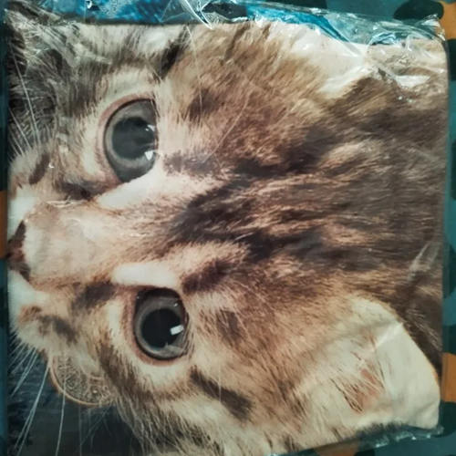 Captura de tela 2023 11 03 051610.png