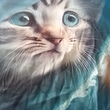 Captura de tela 2023 11 03 051724.png