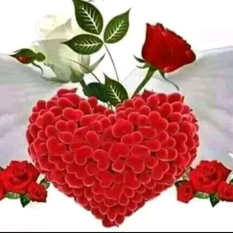 FB IMG 16913111211194059.jpg