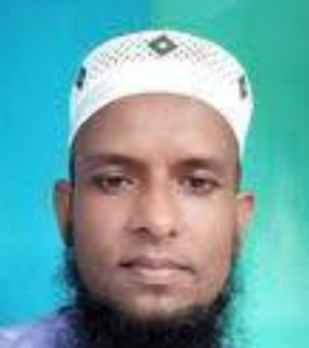 orca image 1979981282.jpg