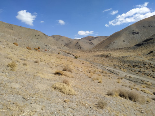  .jpg