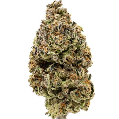 octane mint sorbet.png