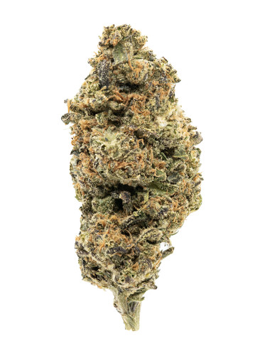 Runtzlato Inspiraiton.jpg