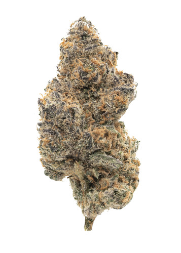 Orangutan Glue Inspirationjpg.jpg