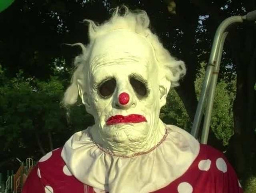 images%2Fimage 1699034005760.jpg