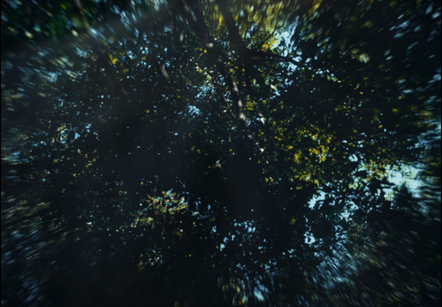 Eo.2022.1080p.BluRay.DD+5.1.x264 SbR.mkv snapshot 01.17.00.542