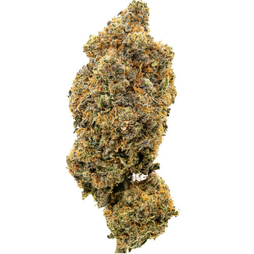 Medusa Inspiration (11 3).png