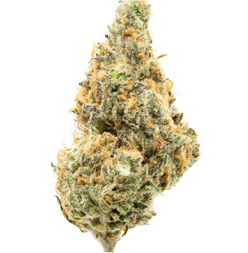 Government Oasis Inspiration 11 3.png