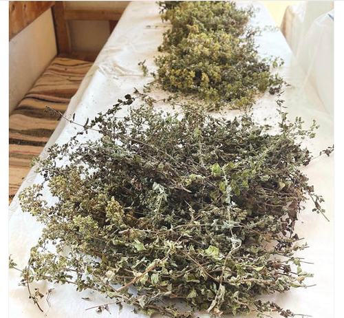 Get Your Ikaria Greece blue zone At Greek Superherbs.png