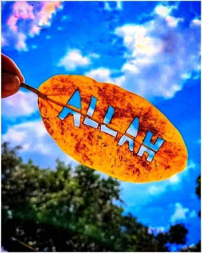 FB IMG 1698497778002.jpg