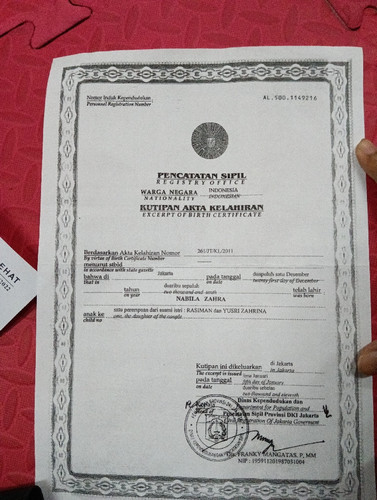 scaled d781f304 3302 41bb a13b 7eac18cb200e4996094046377204616.jpg