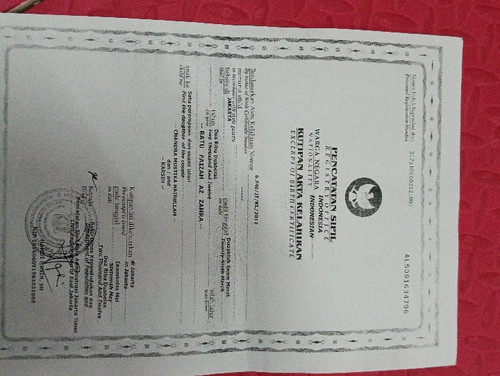 scaled 7dfb40d9 a98c 408b b96b 2ce1bcea309e496568623441779665.jpg