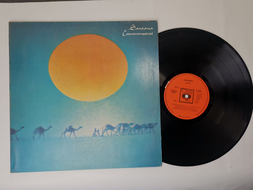 IMG 20231103 113519.jpg