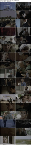 Witness.1985.UHD.BluRay.2160p.DTS HD.MA5.1.x265.10bit.HDR beAst preview.jpg