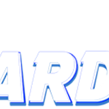 bardi4d logo