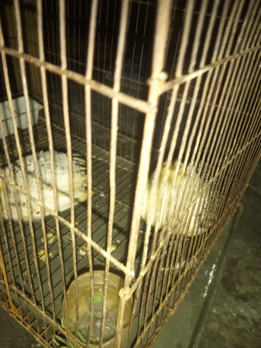 IMG 20231009 221347 1.jpg