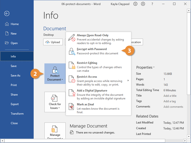 Side menu showing "Information" and "Protect Document" options