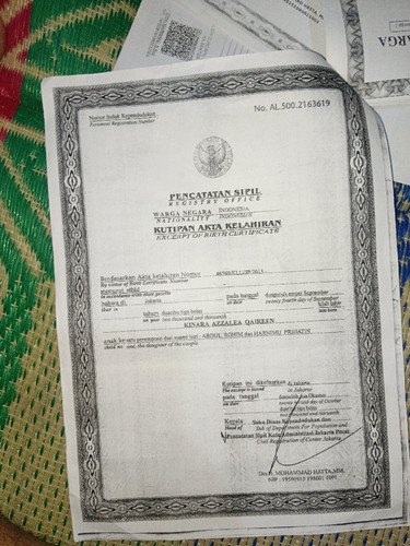 scaled 745801a1 d323 46fd b491 3625acf2bc882272034249649184956.jpg