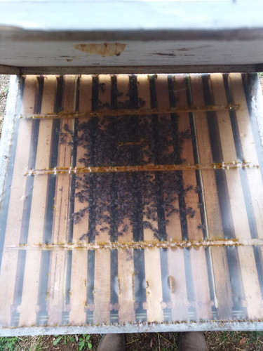 IMG 20231105 111517.jpg