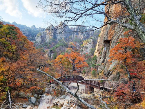 kakaotalk 20221027 221918298 08 optimized.jpg