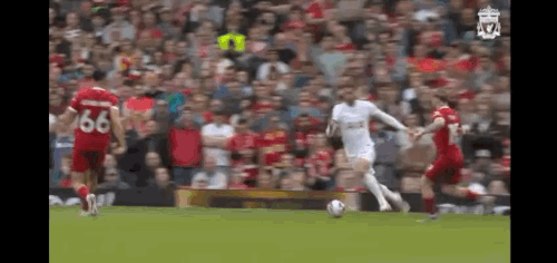 0284958D B07B 4C4D B103 D5CAF33E61FF.gif