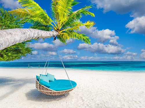 Maldives entertainment.jpg