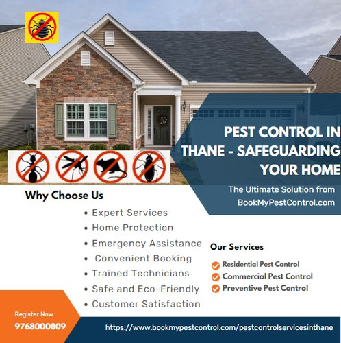 The Benefits of Rodent Control Services in Mumbai to Keep the City Safe.jpg