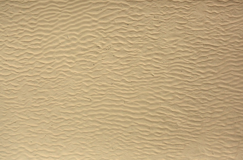 Sand with Beach Background.jpg