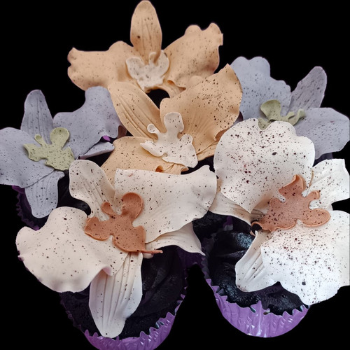 GIVEAWAY ALERT! (1).jpg