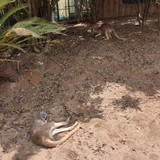 fd1a4a7a7a4ea325f766ef5952ab32f