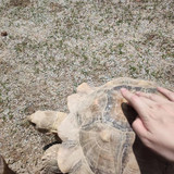 24c024695221b77bed3f561883524e7