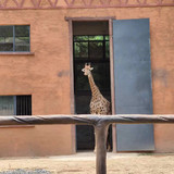 55cf4da4271f2837f87d820e553f662