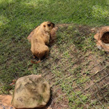 c3a794647092182ffbff83006f6ed12