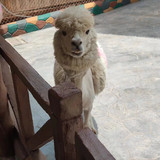 02264aa87391e15a6700022e3aac57e