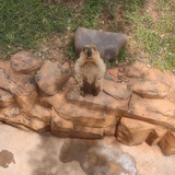 926b0c611a8a39a9d271a86f59bef06