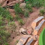 5f54210966052d9c7dbc2cb78acffd7