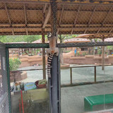 6ccba23bf53adc368979aa04b4a6a77