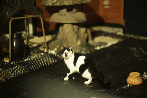 A7SDSC01898.jpg