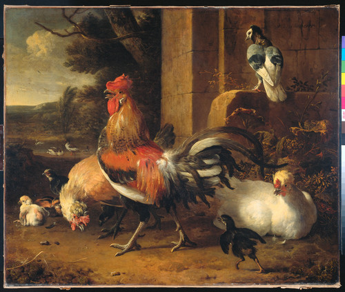 Hondecoeter, Melchior d' Скотный двор, 1695, 92 cm х 109 cm, Холст, масло