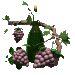 bottle grapes sm clr.gif