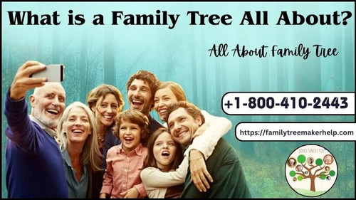 what is family tree.jpg