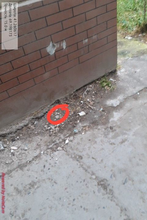 IMG 20240504 192932 130.jpg