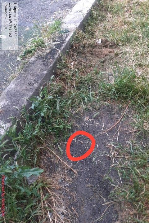 IMG 20240504 192927 421.jpg